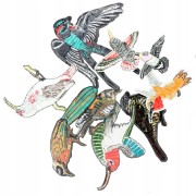 ZESTAW 9 Naszywki TERMO naprasowanki Ptaki Haft