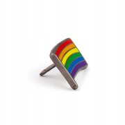 PINETS przypinka tęczowa flaga tęcza Miłość LGBT