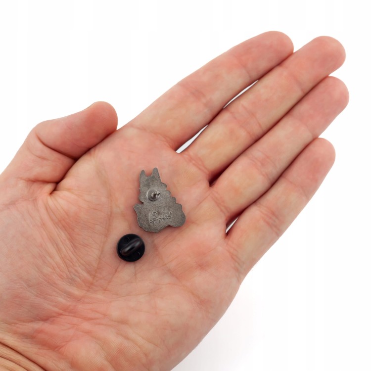 PINETS przypinka Smok Wawelski czytający książkę