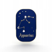 PINETS przypinka znak zodiaku Wodnik Aquarius