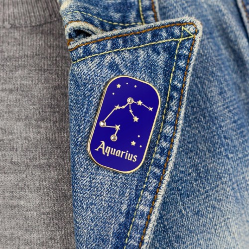 PINETS przypinka znak zodiaku Wodnik Aquarius