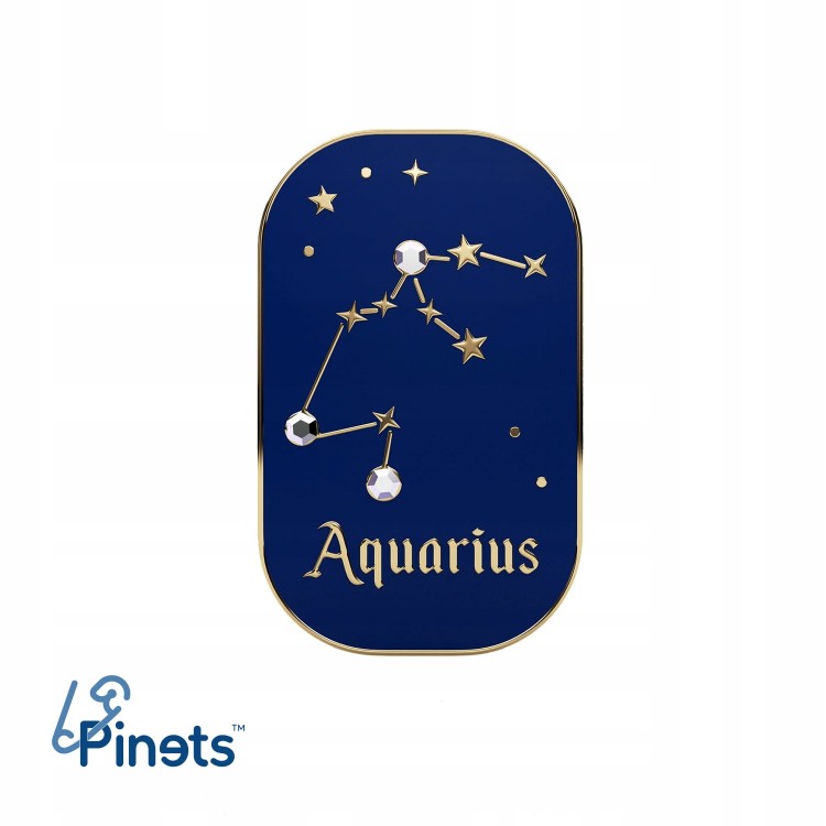 PINETS przypinka znak zodiaku Wodnik Aquarius