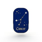 PINETS przypinka znak zodiaku Rak Cancer cyrkonie