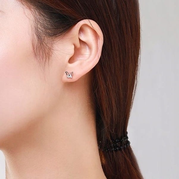 88091c599028213482382d81ffffc42b