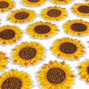 ade3ece88529c490f7e32e750df33f40