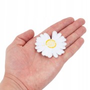 76d6c355a0d2fc731457ee22d69809c5