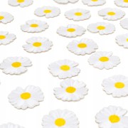 a5d1041a1964e87e8bb1f921b1cf7cc3