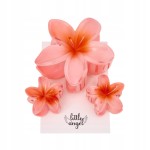 Zestaw spinek klamr do włosów Klamra Kwiat Plumerii Hawajski 3 sztuki