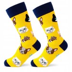 Skarpetki kolorowe koty żółte bawełna 80% Funny Socks Little Angel